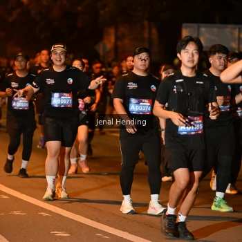 Runner Photo 3541612