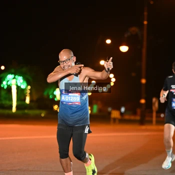 Runner Photo 3541644
