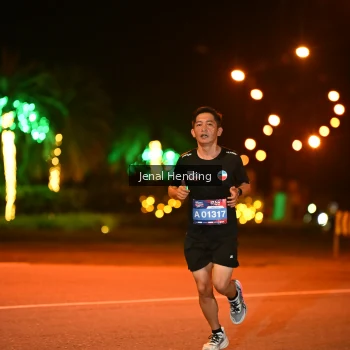 Runner Photo 3541658