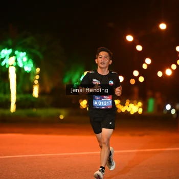 Runner Photo 3541660