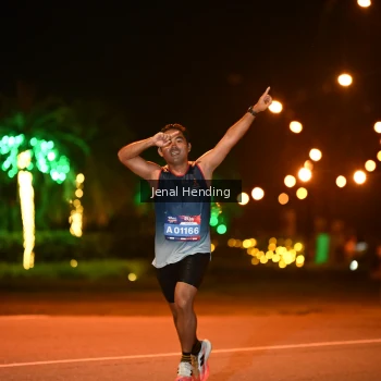 Runner Photo 3541686
