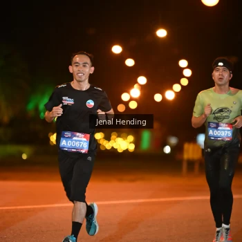 Runner Photo 3541691