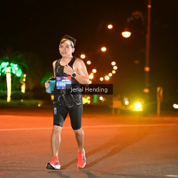 Runner Photo 3541720
