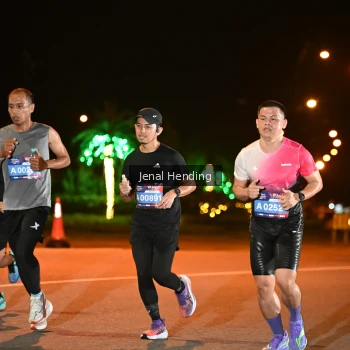 Runner Photo 3541770