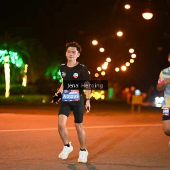 Runner Photo 3541790