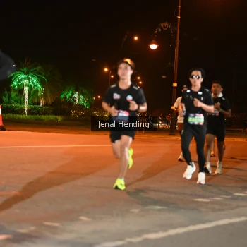 Runner Photo 3541849