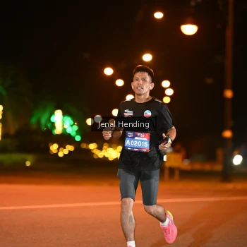 Runner Photo 3541897