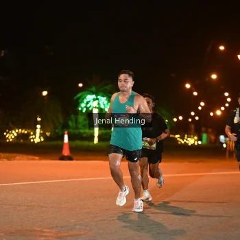 Runner Photo 3541930
