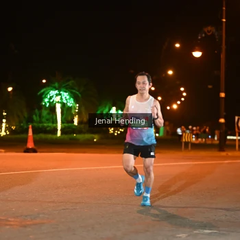 Runner Photo 3541940