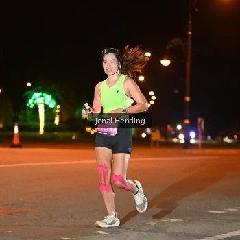 Runner Photo 3541947