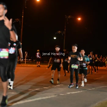Runner Photo 3542068