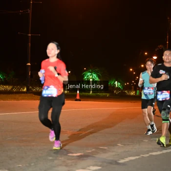 Runner Photo 3542081