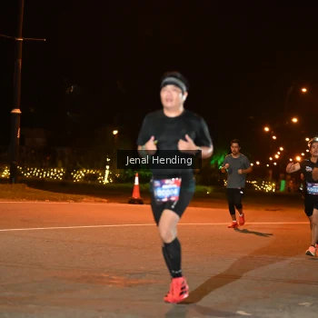 Runner Photo 3542146