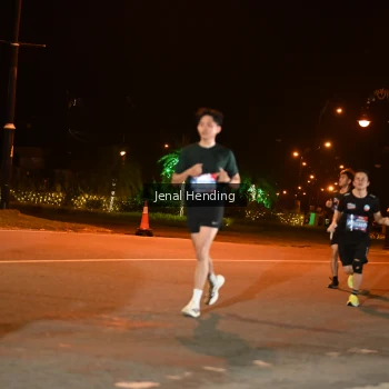 Runner Photo 3542290