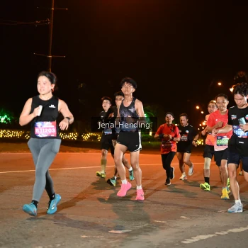 Runner Photo 3542456