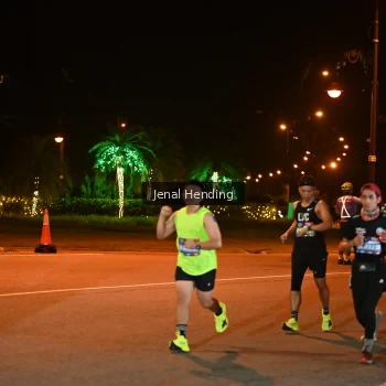 Runner Photo 3542525