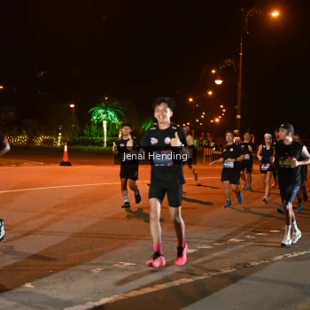 Runner Photo 3542613