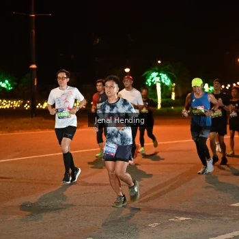 Runner Photo 3542658