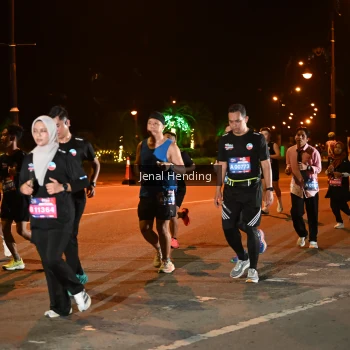 Runner Photo 3542660