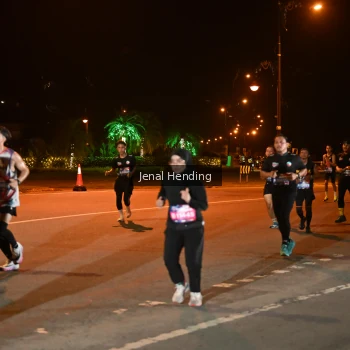 Runner Photo 3542694