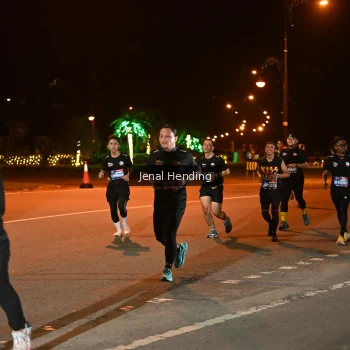 Runner Photo 3542697