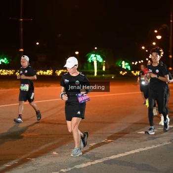 Runner Photo 3542733
