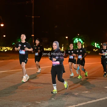 Runner Photo 3542767