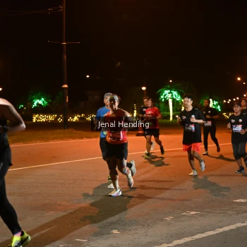 Runner Photo 3542826