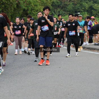 Runner Photo 3543743