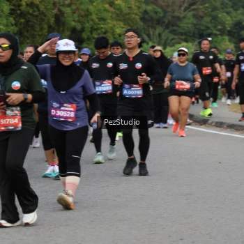 Runner Photo 3543786