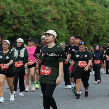 Runner Photo 3543822