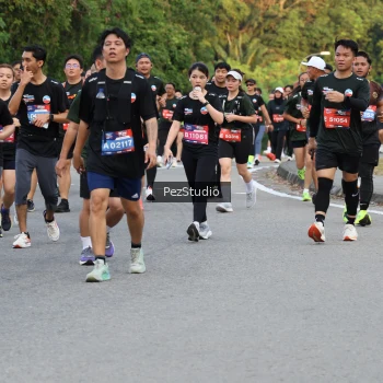 Runner Photo 3543831
