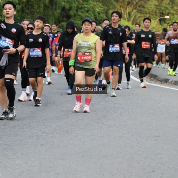 Runner Photo 3543836