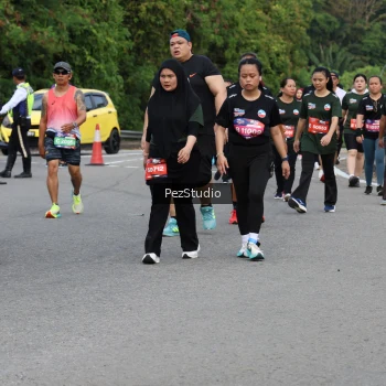 Runner Photo 3543949
