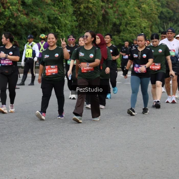 Runner Photo 3543953
