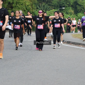 Runner Photo 3544142