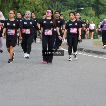 Runner Photo 3544144