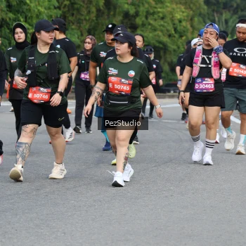 Runner Photo 3544173