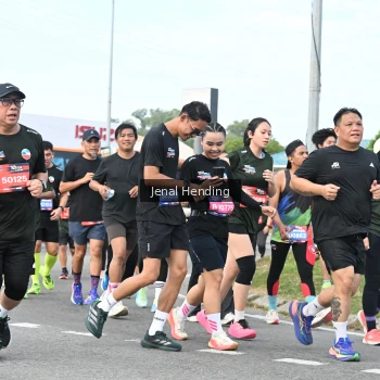 Runner Photo 3546632