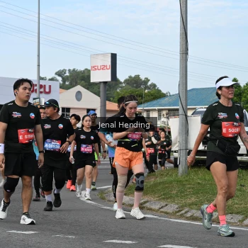 Runner Photo 3546710