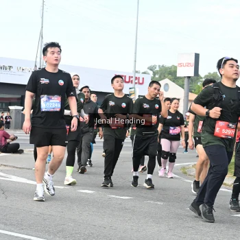 Runner Photo 3546759