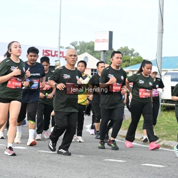 Runner Photo 3546800