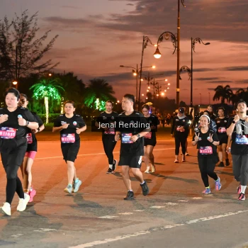 Runner Photo 3548641