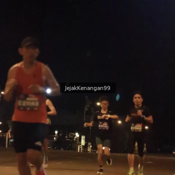 Runner Photo 3548851