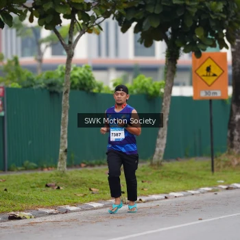 Runner Photo 3550335