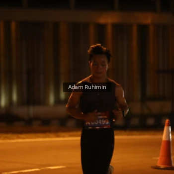 Runner Photo 3550451