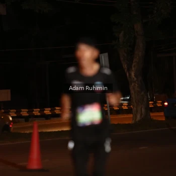 Runner Photo 3550746