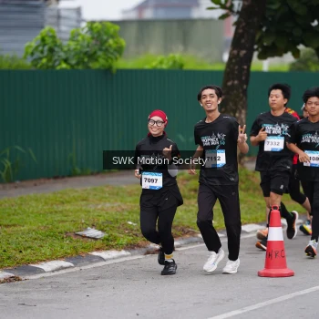 Runner Photo 3550799