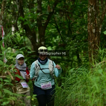 Runner Photo 35511