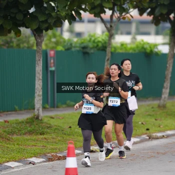 Runner Photo 3551840